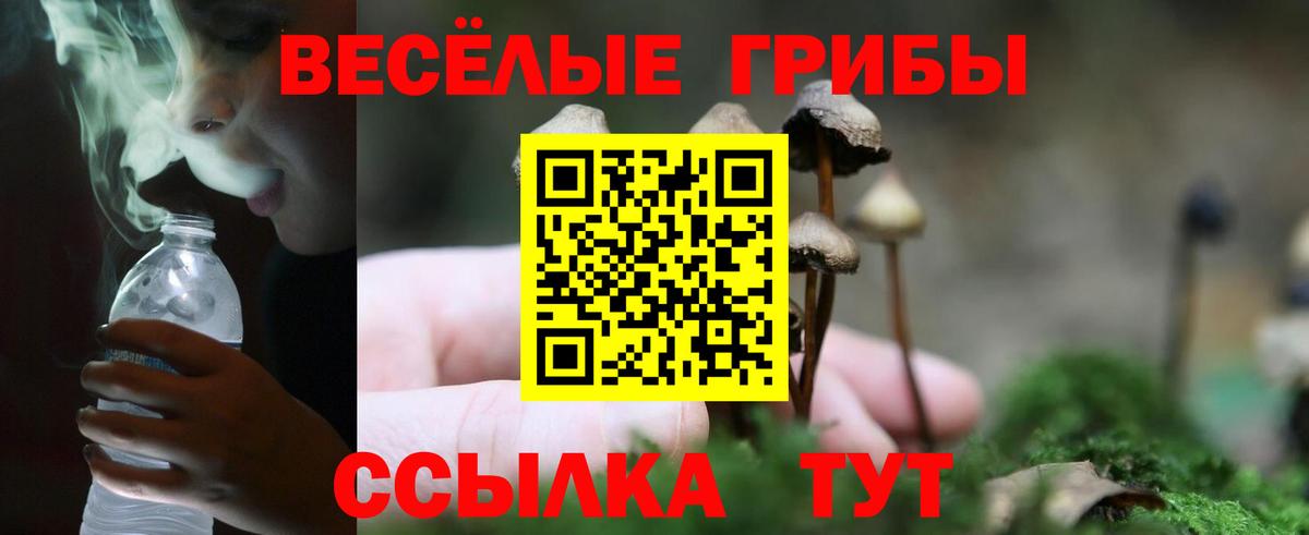 магазин продажи наркотиков  Псилоцибиновые грибы мухоморы  Вход с VPN  Армавир 